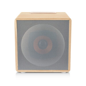 Enceinte cubique 10W Livoo