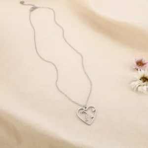 Collier en acier inoxydable cœur visage argenté