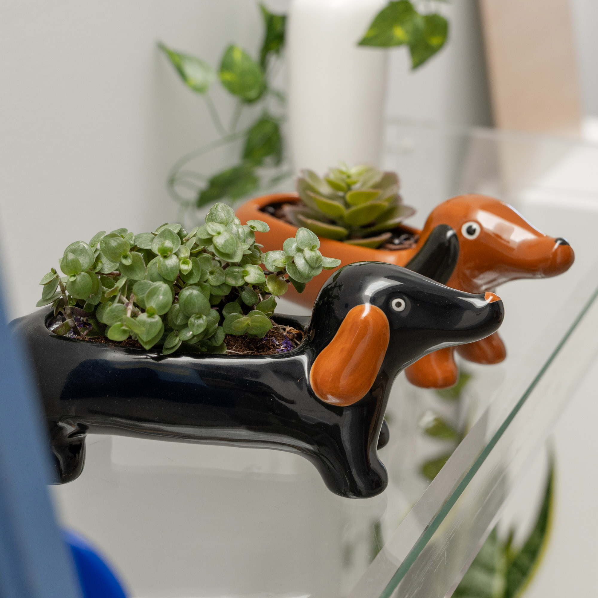 Vase Cache-pot Teckel Noir – Image 2