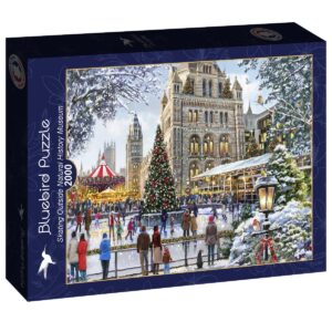 Puzzle (2000 pièces) Skating Outside Natural History Museum - Bluebird Puzzle