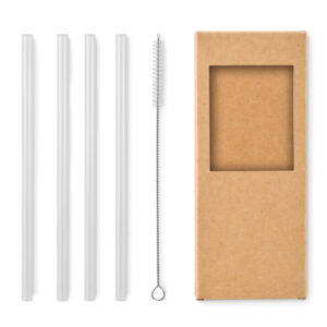 Set de 4 pailles en verre avec brosse de nettoyage
