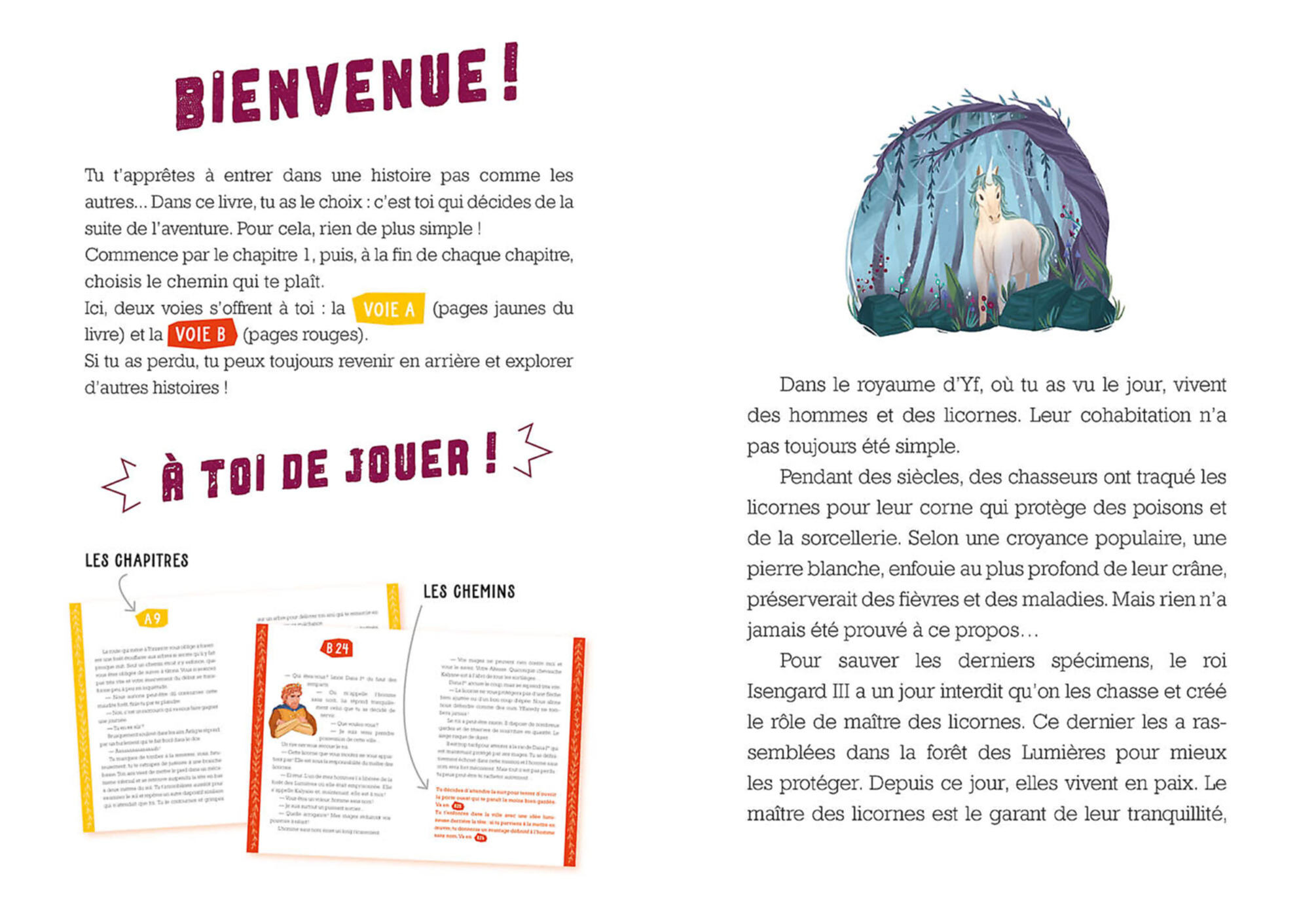 Le Maître Des Licornes – Image 2