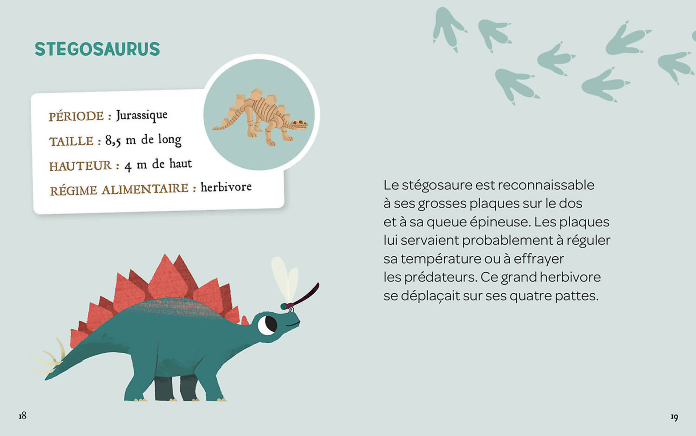 Mes 2 Dinosaures À Déterrer – Image 3