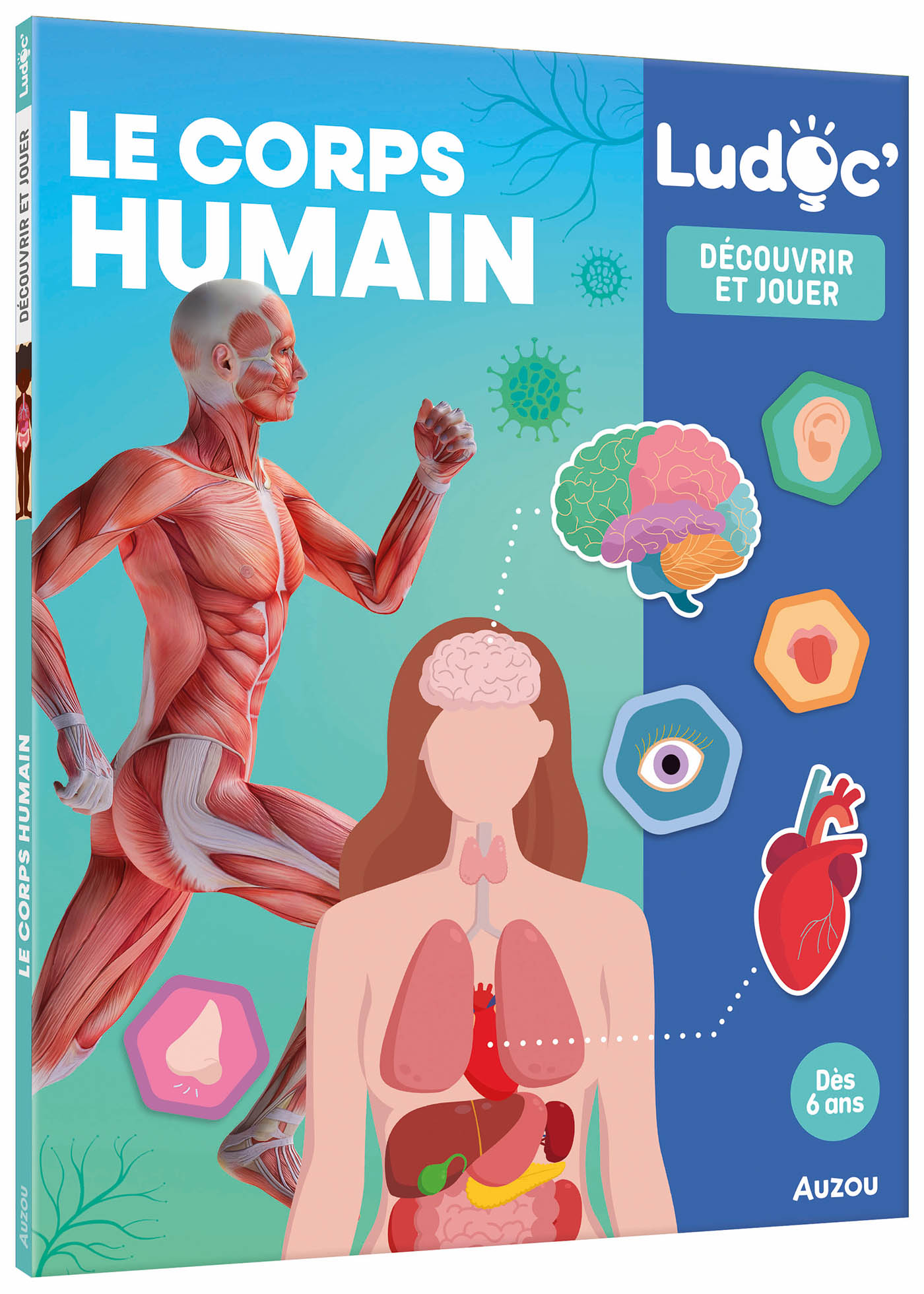 Le Corps Humain