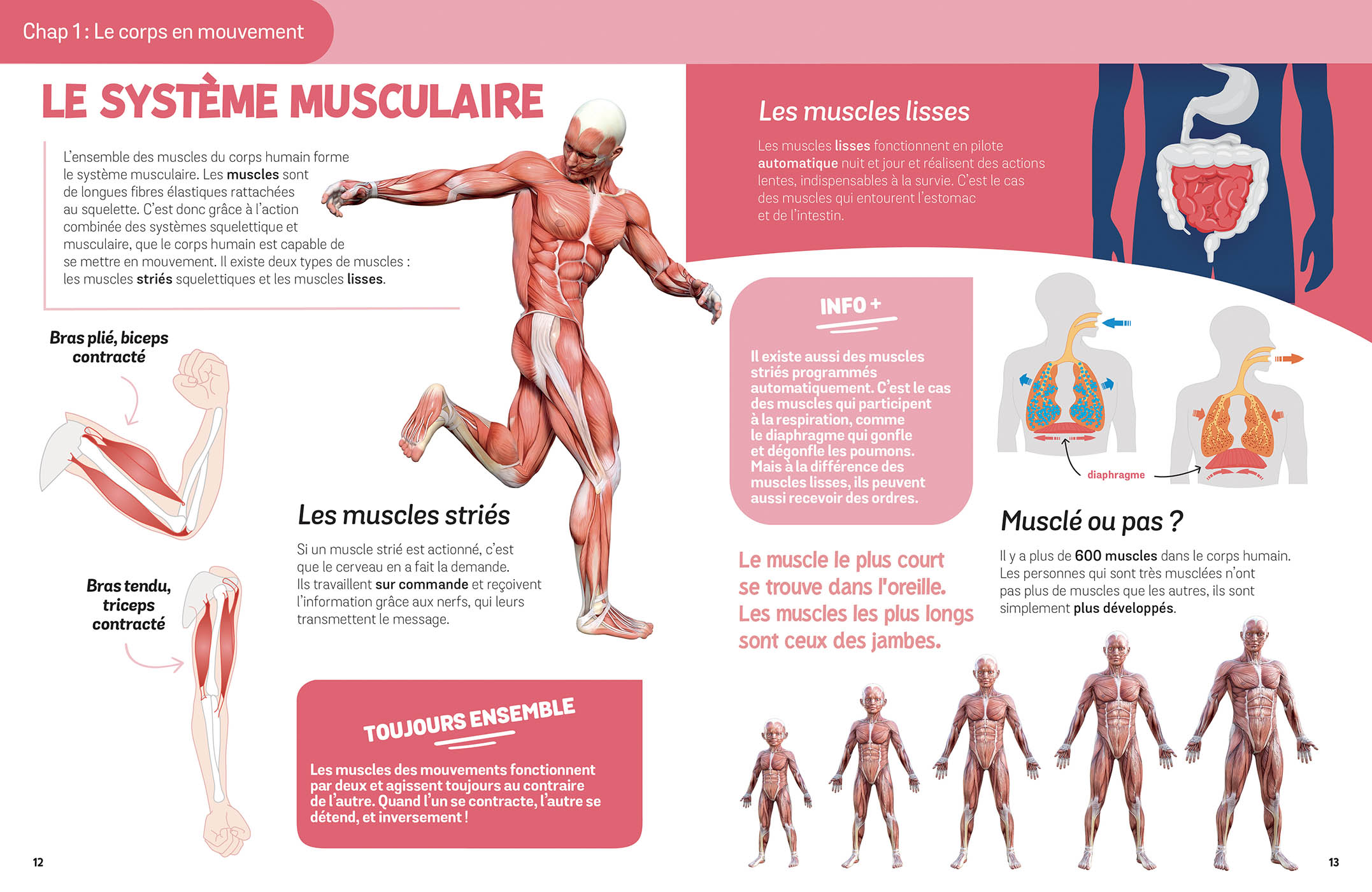 Le Corps Humain – Image 2