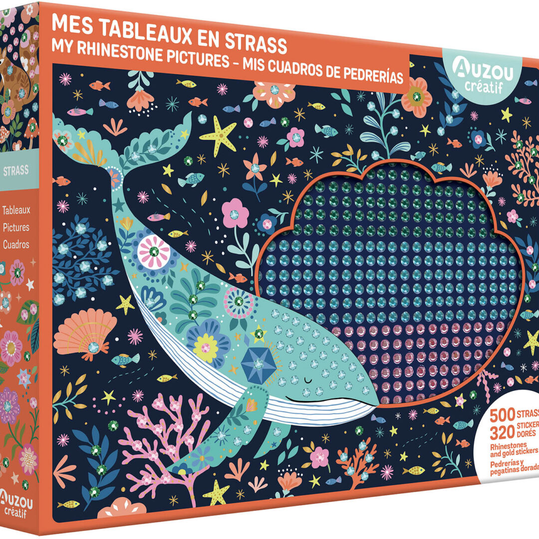9791039568951 Mes Tableaux En Strass