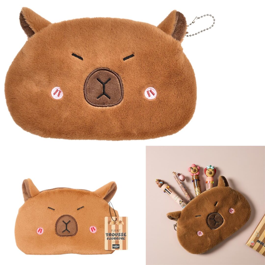 EC0120_GLOBAL Trousse Capybara