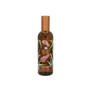 Parfum d'intérieur 100ml Fleur d'Aloe