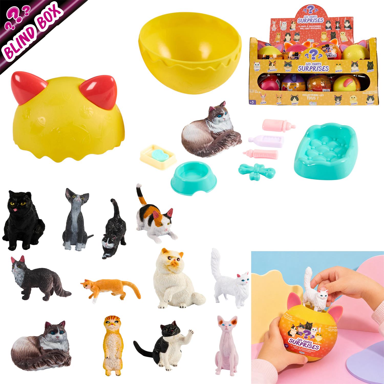 Boite surprise chat – Image 5