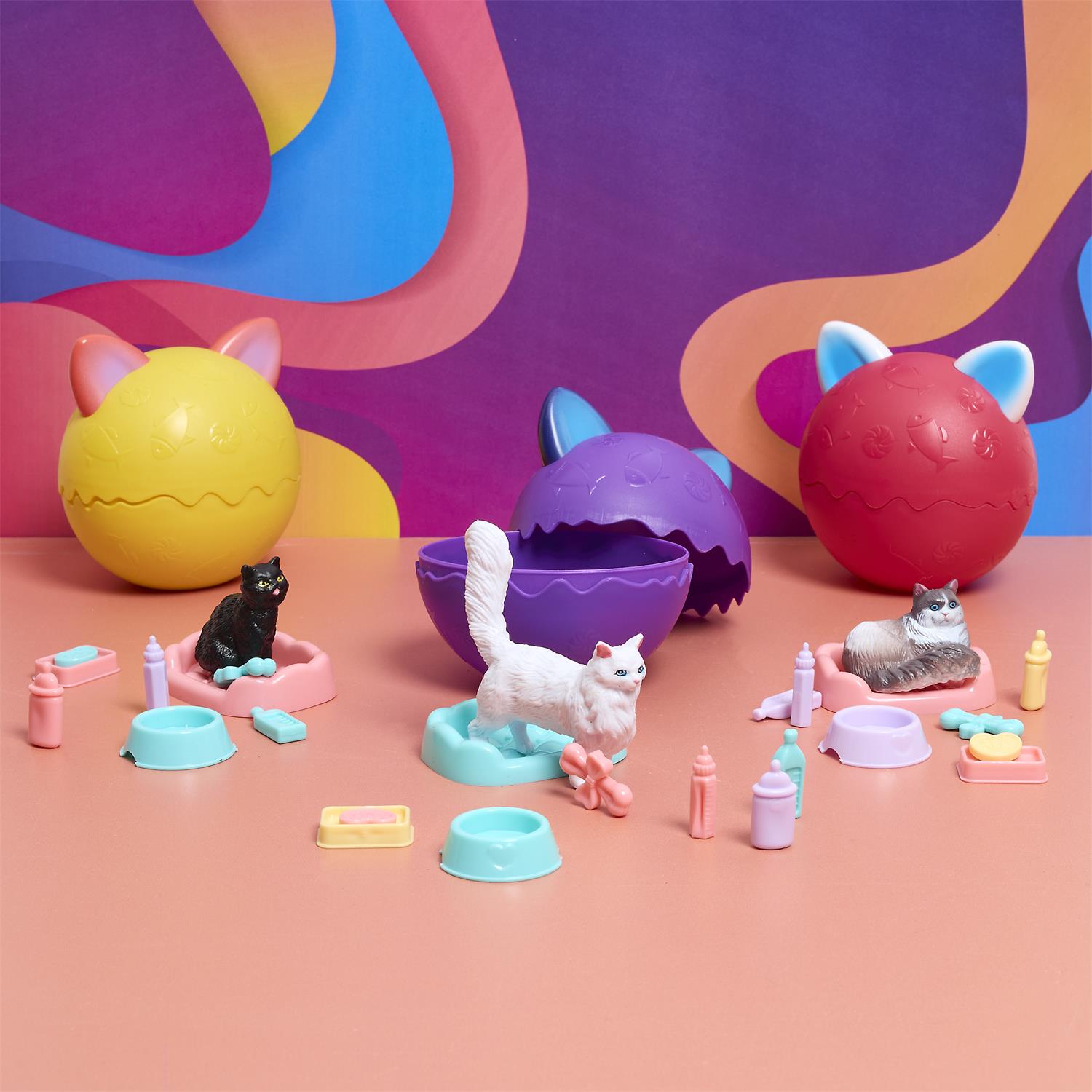 Boite surprise chat – Image 3