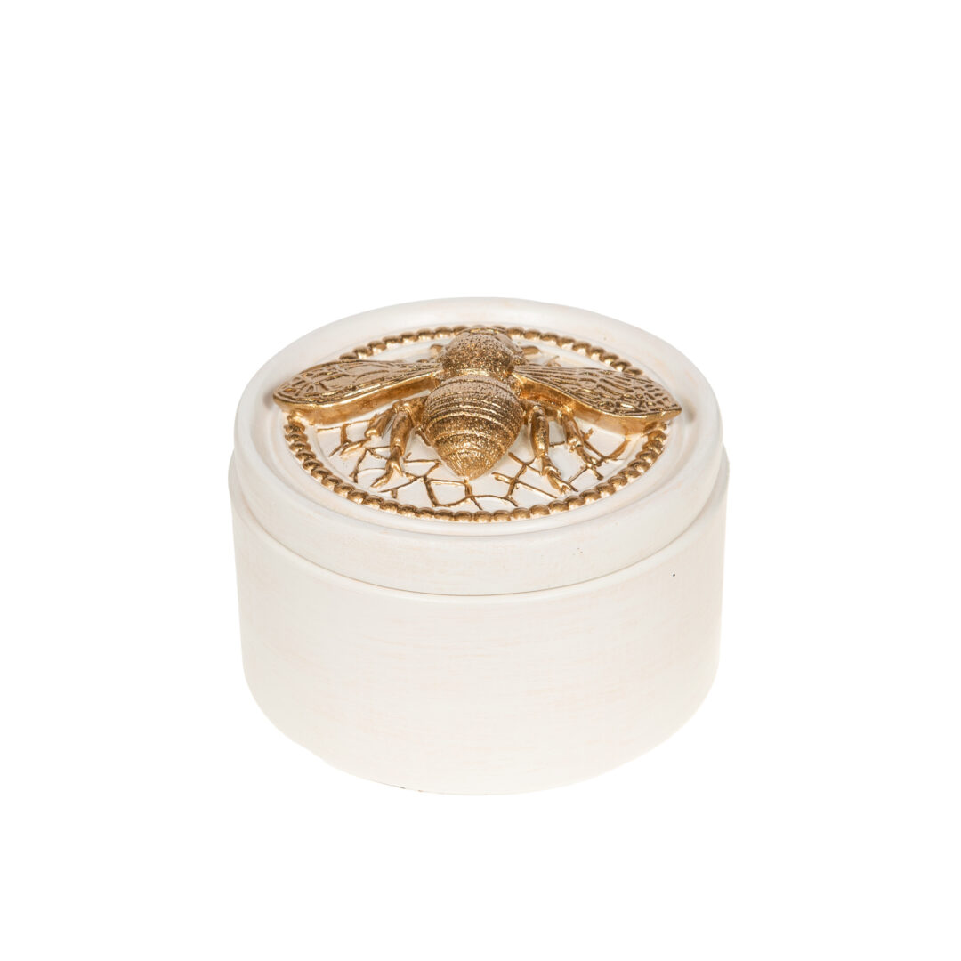 ref_171721_1-1 Boîte décorative Insecte Crème 12cm