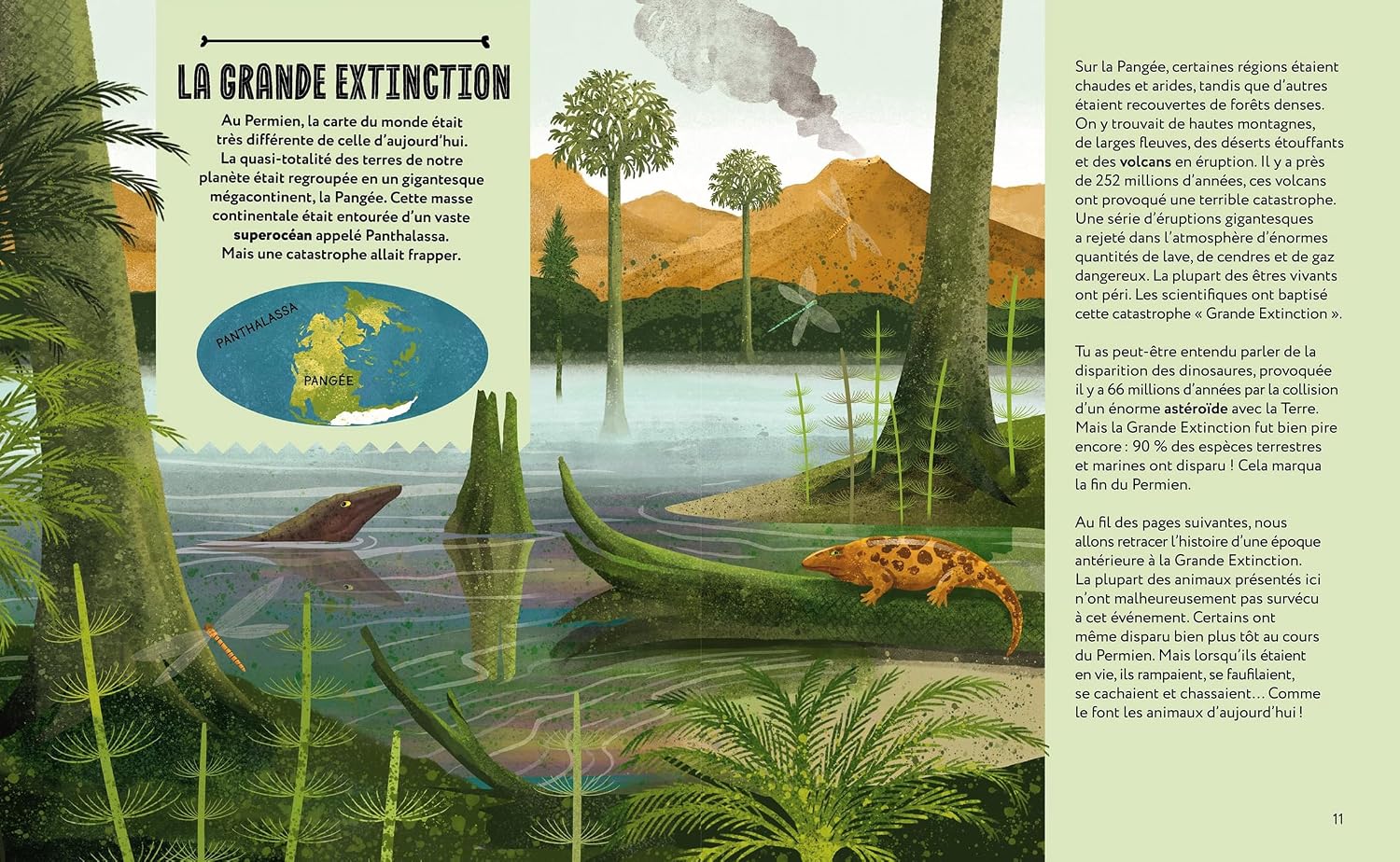 Bien avant les dinosaures – Image 2