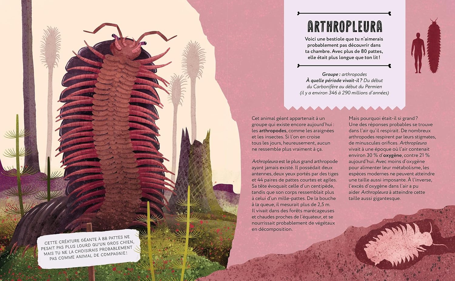 Bien avant les dinosaures – Image 3