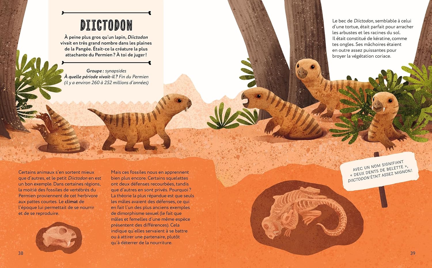 Bien avant les dinosaures – Image 4