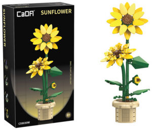Assemblage brique plantes d'intérieur
