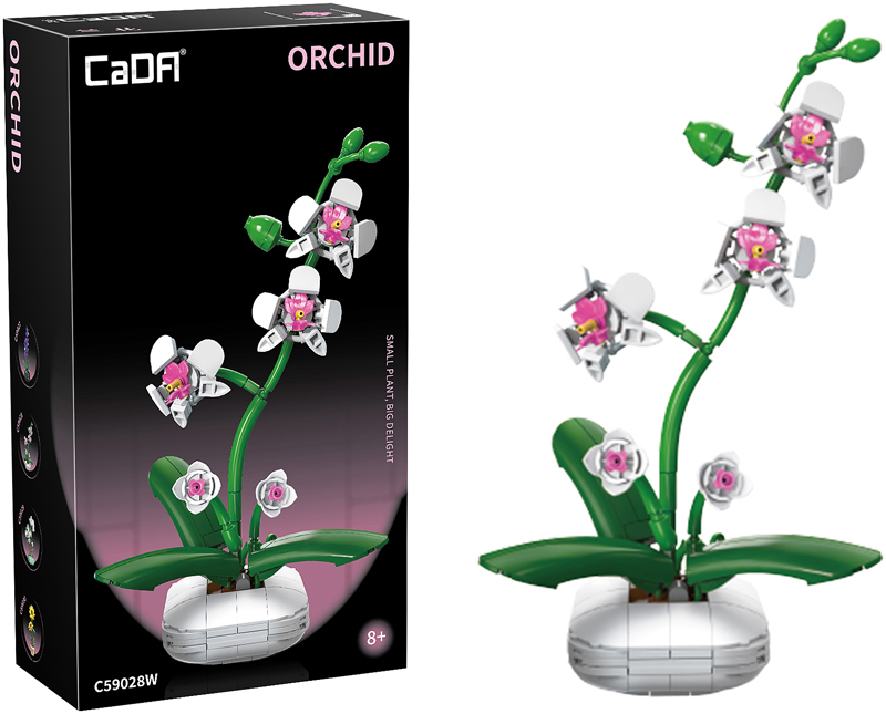 Assemblage brique plantes d'intérieur – Image 2